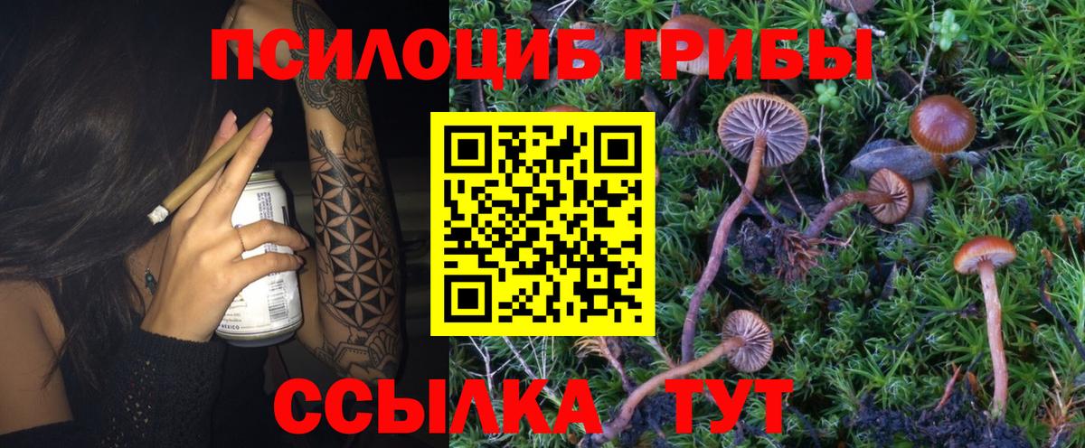 Псилоцибиновые грибы Cubensis  Галлюциногенные грибы Psilocybine cubensis  Псков  Вход с VPN 