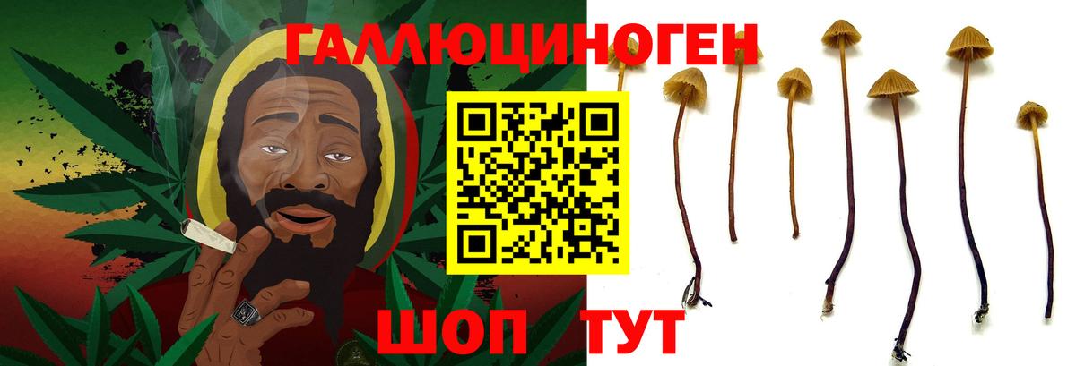 Псилоцибиновые грибы мухоморы Псков